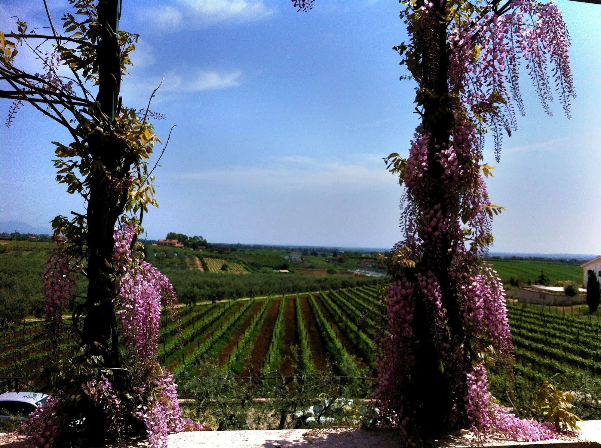 La Meridiana Sambuco  ภายนอก รูปภาพ